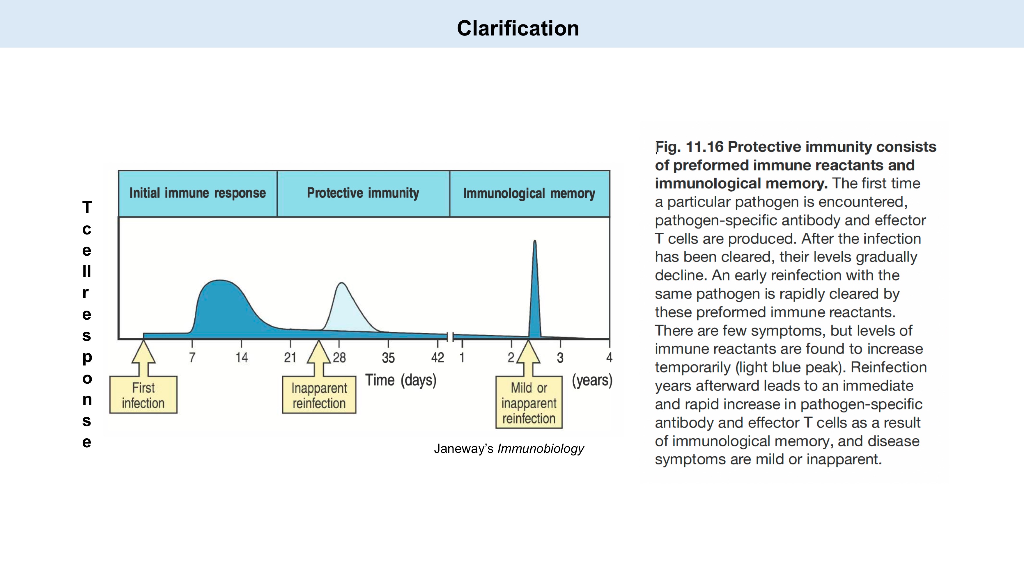 <p>Explain this graph</p>