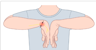 <p>best test for carpal tunnel syndrome</p>