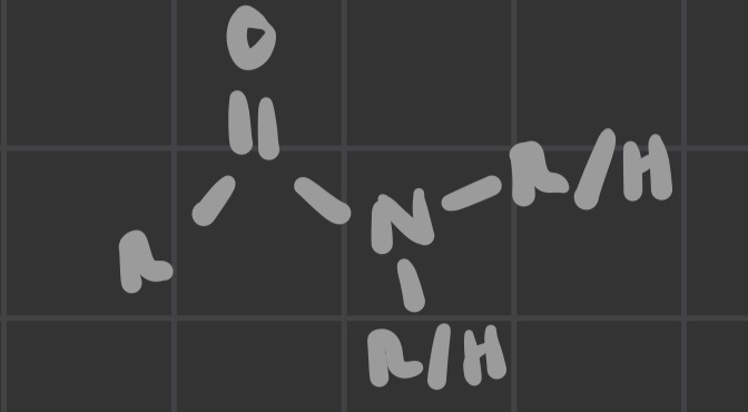 <p>O double bond to R and N</p>