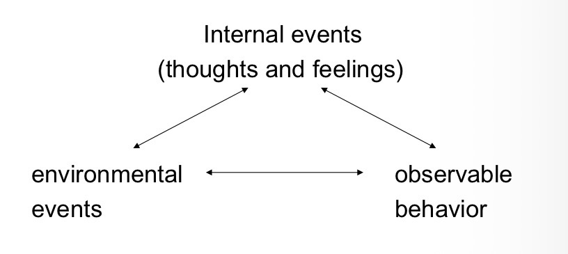 <p>internal events don’t just mediate between environment &amp; behavior</p>