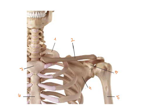 <p>3?4?</p>