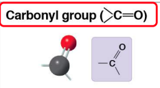 <p>Carbonyl</p>