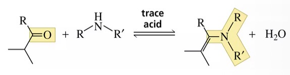 <p>An enamine</p>