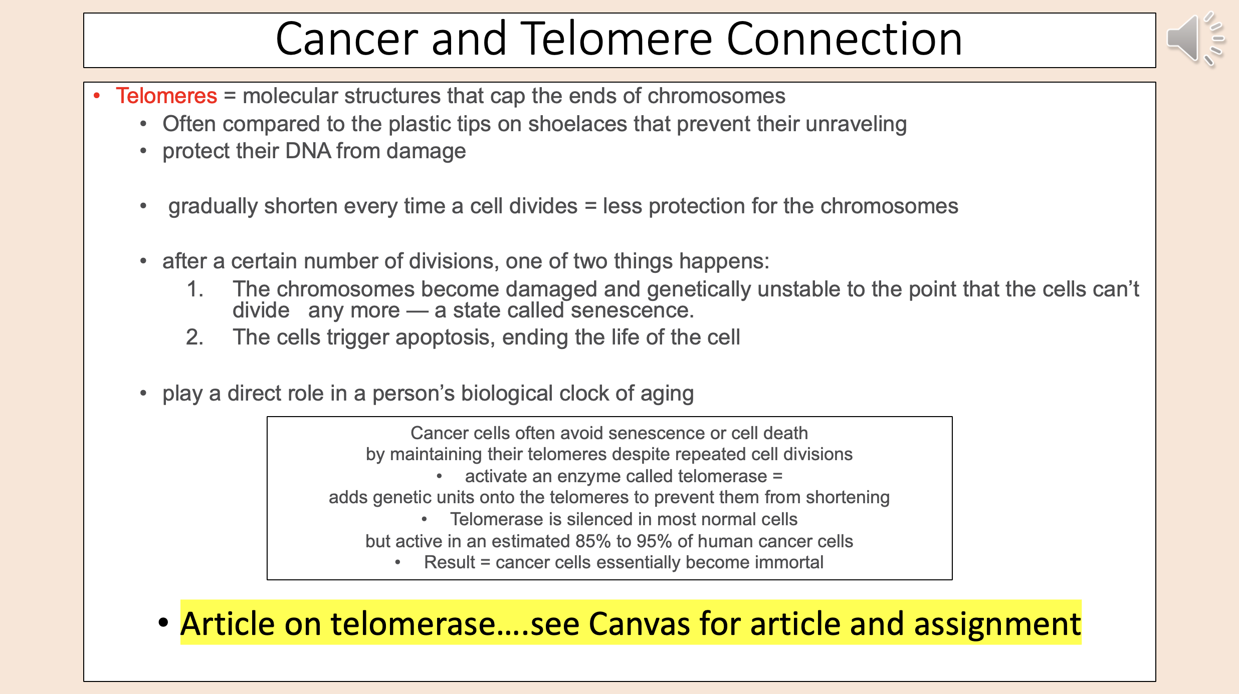 <p><span style="color: rgb(0, 0, 0);">after </span><span style="color: rgb(0, 0, 0);">number of divisions</span></p>