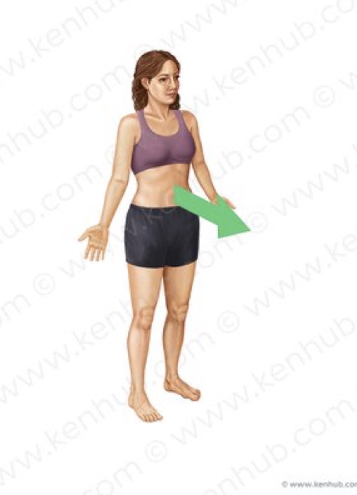 <p>nearer to or at the front of the body</p>