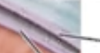 <p>What layer is this</p>