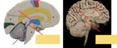 <p>What are the highlighted parts pointing to?</p>