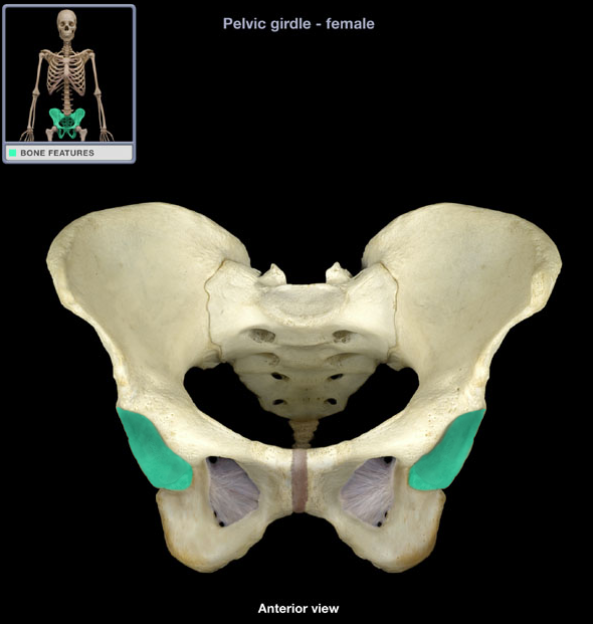 <p>What is the name of this structure?</p>
