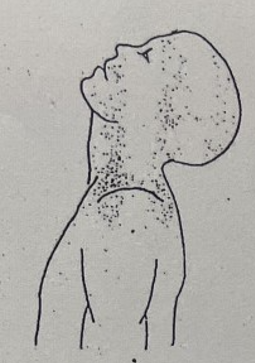 <p>?</p>