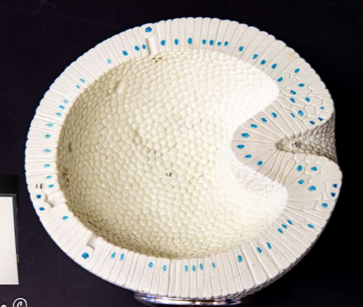 <p>What is this?</p>