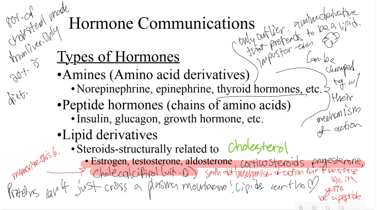 <p>Norepinephrine, epinephrine, thyroid hormones, etc. are what type of hormones?</p>