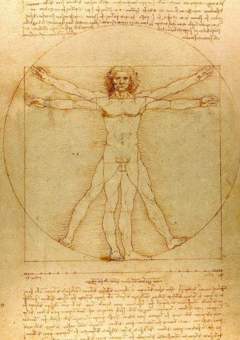 <ul><li><p>lijnen die je door de figuur kunt trekken = verticale, horizontale en diagonale</p></li></ul><ul><li><p>rust= horizontale en verticale </p></li><li><p>beweging= diagonale lijnen</p></li></ul><p></p>