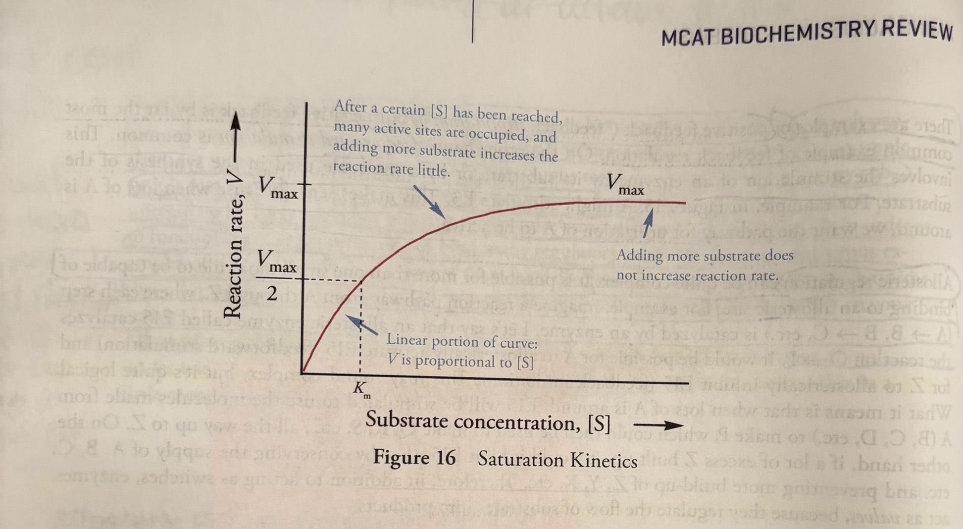 <p><u>Enzyme Kinetics</u></p><p><strong>Enzyme kinetics </strong>is the study of the <strong>rate of formation</strong> <strong>of products</strong> from <strong>substrates</strong> in the presence of an enzyme. </p><p>The <strong>reaction rate </strong>(<strong>V</strong>, for velocity) <strong>is the amount of product formed per unit time, in moles per second (mol/s)</strong>. <strong>The reaction rate depends on the concentration of substrate, [S], and enzyme</strong>. If there is only a little substrate, then the rate, V, is directly proportional to the amount of substrate added. Double the amount of substrate and the reaction rate doubles, triple the amount of substrate and the reaction rate triples, and so forth. But eventually, there is so much substrate that the active sites of the enzymes are occupied much of the time, and adding more substrate doesn’t increase the reaction rate as much, that is, the slope of the V vs [S] curve decreases. </p><p>Finally, there is so much substrate that every active site is continuously occupied, and adding more substrate does not increase the reaction rate at all. At this point, the enzyme is <strong>saturated</strong>. The reaction rate when the enzyme is saturated is denoted <strong>Vmax</strong>. This is a property of each enzyme at a particular concentration of the enzyme. </p><p><u>Km</u></p><p>Michaelis constant (<strong>Km</strong>, the “m” stands for the Michaelis constant). Km is the substrate concentration at which the enzyme is at ½ of Vmax. </p><p>Km is <strong>unique for each enzyme</strong> and <strong>determines the affinity the enzyme has for the substrate. </strong></p><p><strong>-</strong>A low Km means a low substrate concentration is needed for the enzyme to reach half Vmax, therefore, the enzyme has a high affinity for the substrate</p><p>-a high Km means a high substrate concentration is needed for the enzyme to reach half Vmax, therefore, the enzyme has a low affinity for the substrate. </p>