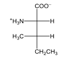 <p>Consider the representation of the amino acid shown below. What is the relative configuration (D or L) of the ∂-carbon?</p>