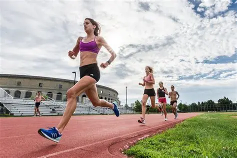 <p>Run </p>