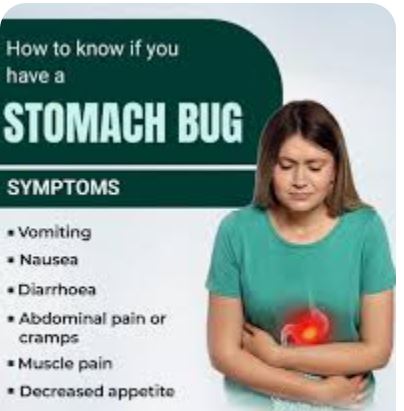 <p>кишечная инфекция  </p><p>An illness caused by viral or bacterial infection affecting the gastrointestinal tract. </p><p></p><p><strong>After coming back from vacation, I caught a stomach bug and spent the next few days feeling unwell."</strong></p>