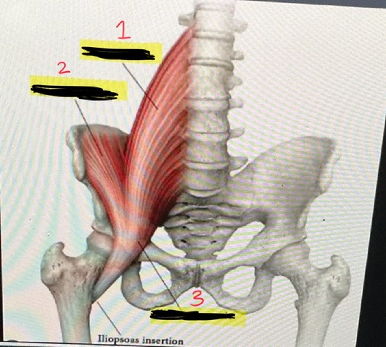 <p>2</p>