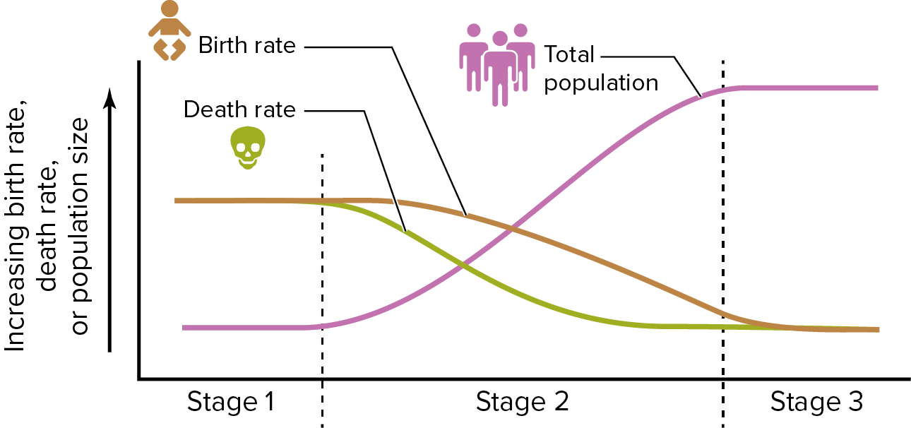 <p>Demographic Transition</p>