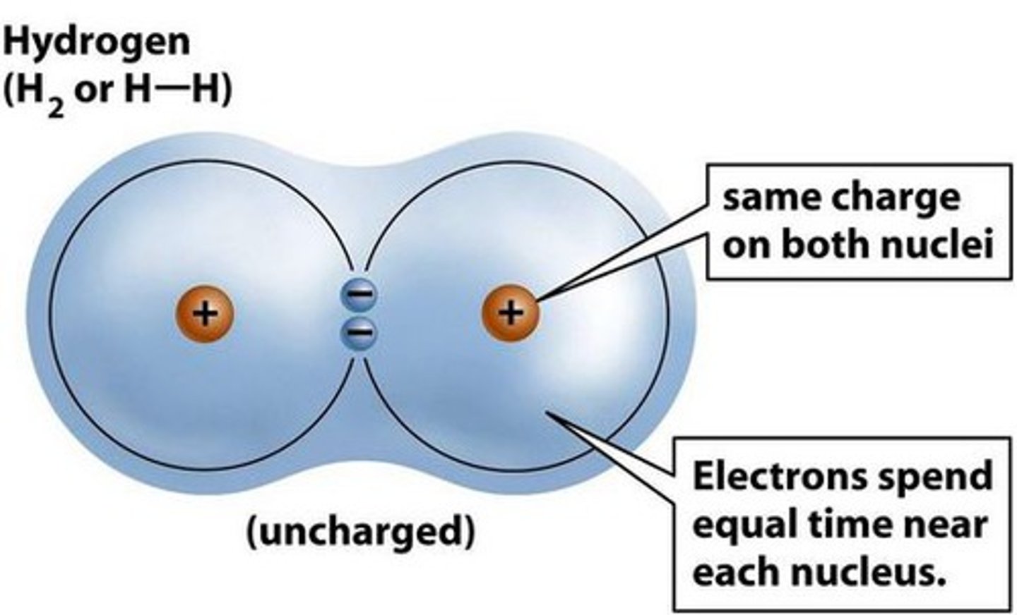 <p>Electrons shared equally</p>