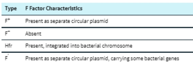 <p>(16) Characteristics of E. coli cells with different types of F-factor </p>