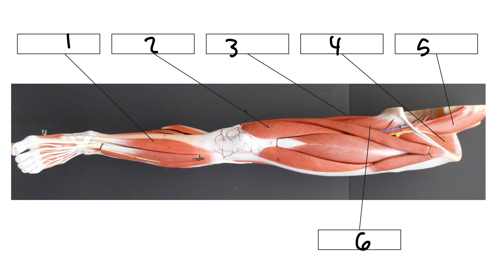 <p>1</p>