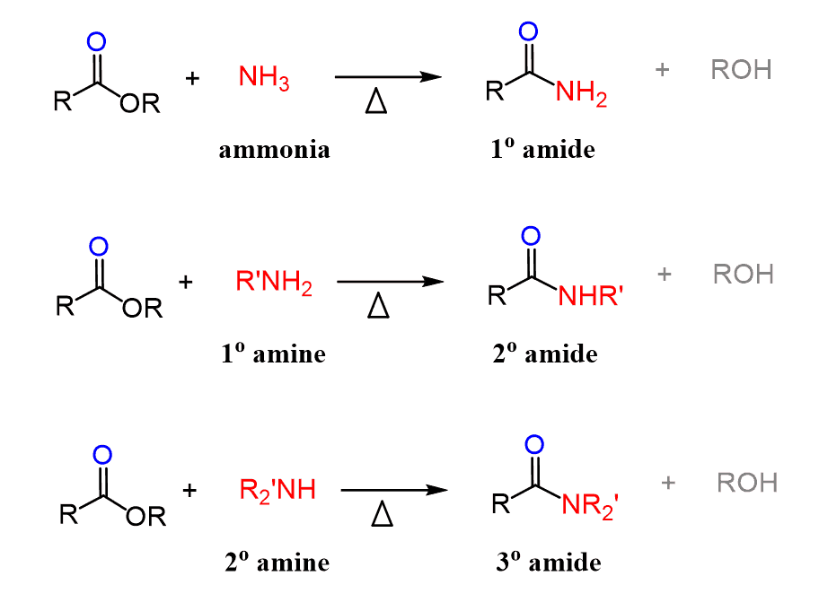 <p>Starting Material: Carboxylic acid; Reagents / Conditions: NH₃ or amine; Product: Amide; Key Notes: Often via acid chloride</p>