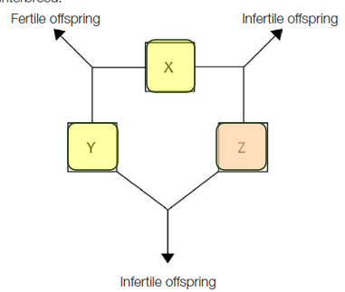 <p>Refer to the diagram which shows the fertility of offspring produced when 3 population of rosellas, X, Y, and Z interbreed</p><p>How many species of rosella are there?</p><p>J. 0</p><p>K. 1</p><p>L. 2</p><p>M. 3</p>