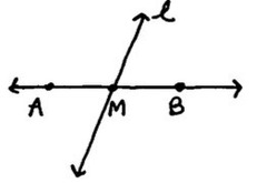 <p>A segment, line, or plane that intersects a segment at its midpoint.</p>