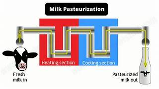 <p>Pasteurization</p>