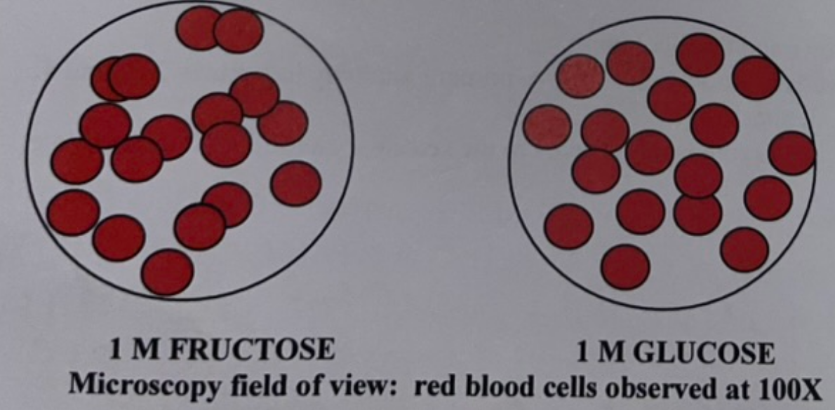 <p>Based on the data shown in the image, what sugar would form the side chain on the receptor involved in red blood cell agglutination?</p>