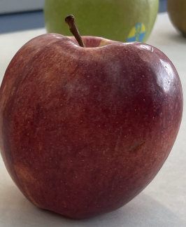 <p>manzana royal gala</p>