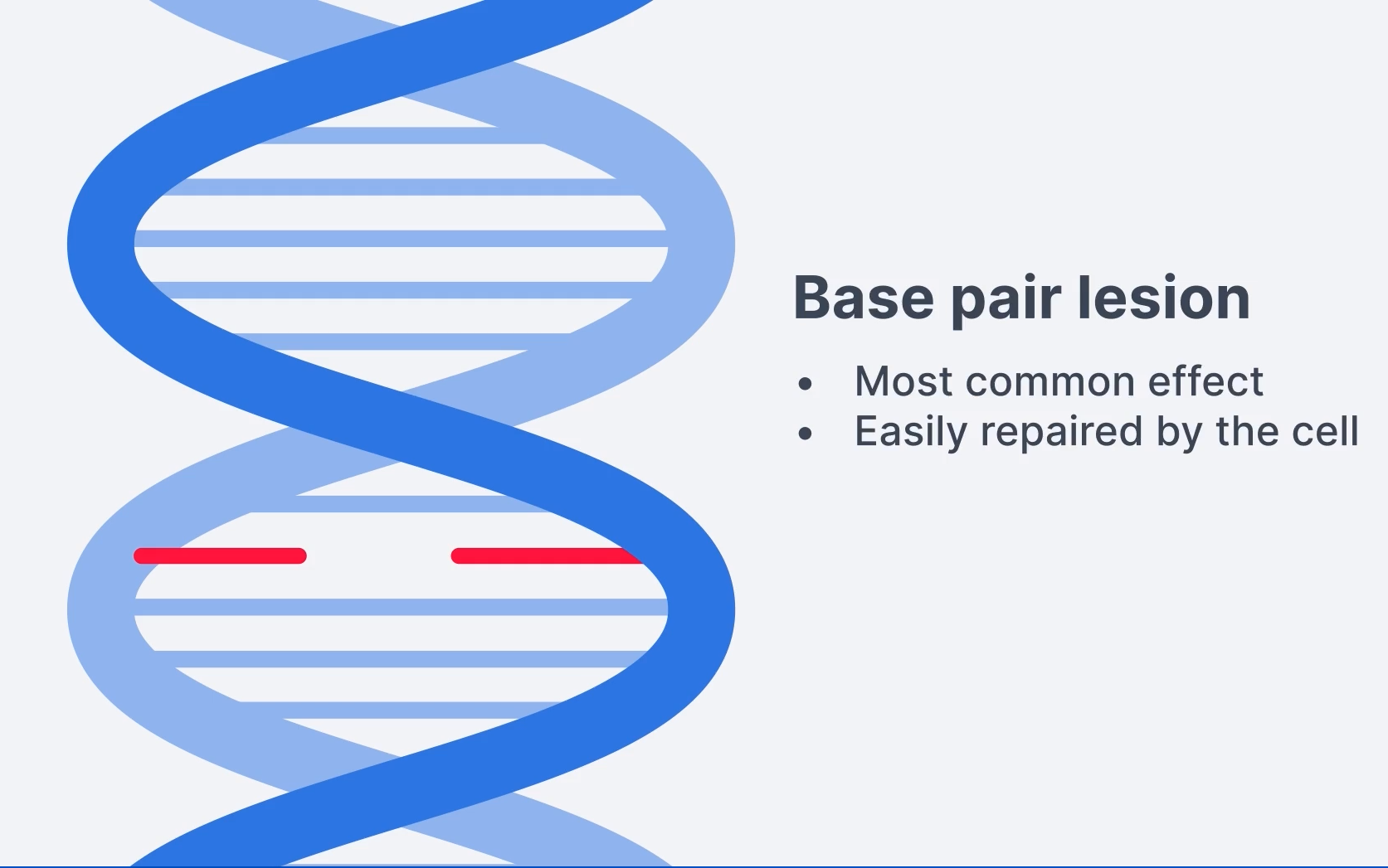 <p>Base Pair Lesion</p>