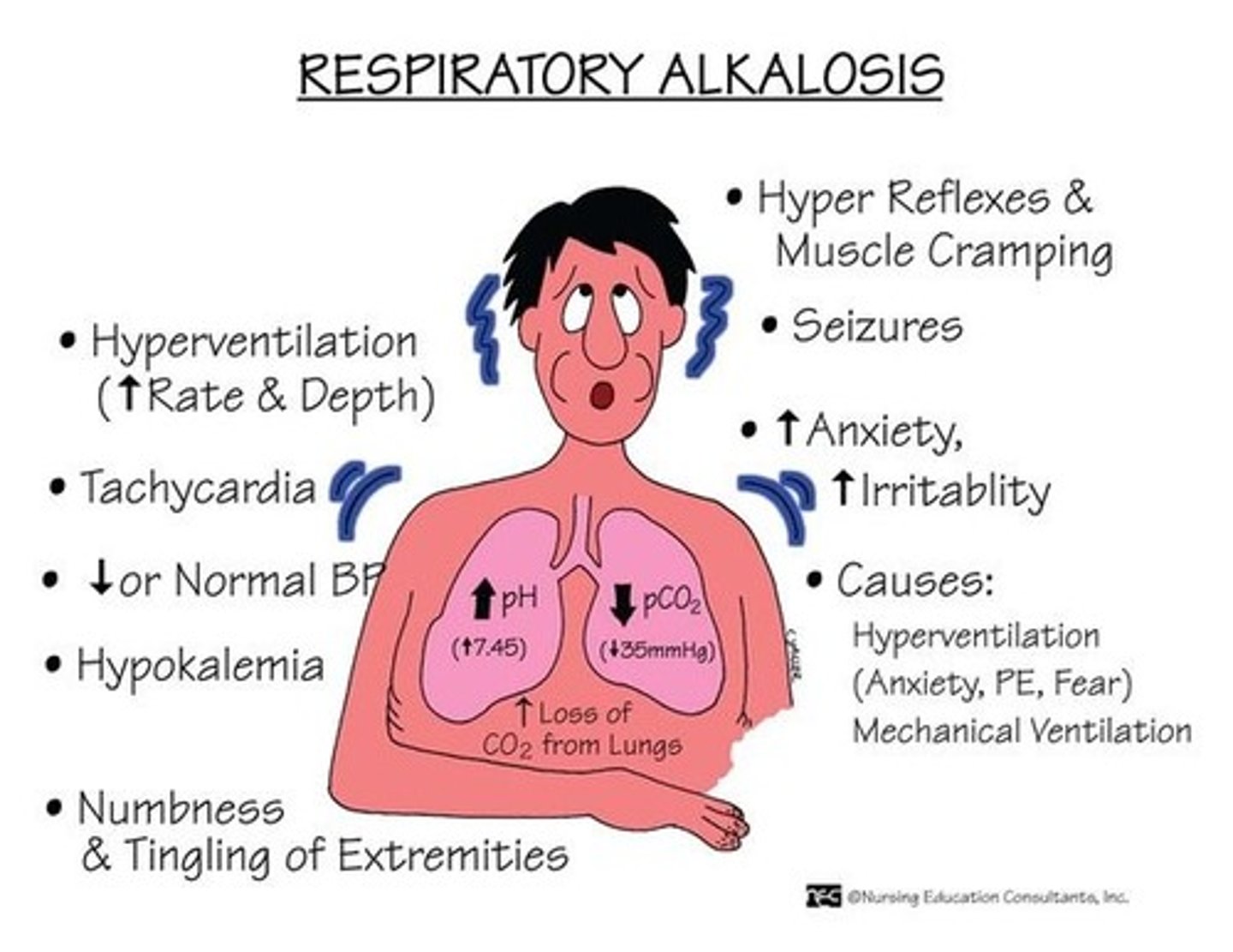 <p>D) Respiratory alkalosis</p>