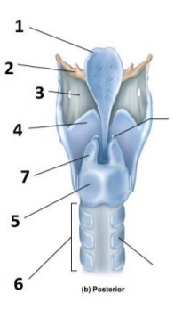<p>1</p>