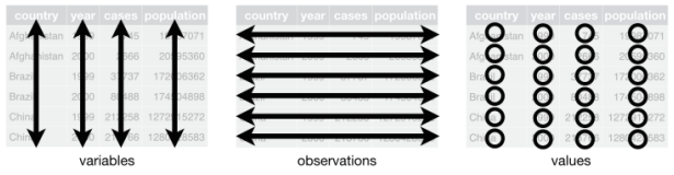 <ul><li><p>Each variable must have its own column</p></li><li><p>Each observation must have its own row</p></li><li><p>Each value must have its own cell</p></li></ul><p></p><p>Each individual value belongs to both a variable + an observation</p><p></p>