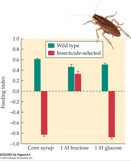 <p>Cockroaches exposed to traps with bait containing insecticide plus glucose. Cockroaches that survived had glucose aversion, which is controlled by a single gene.</p><p>Surviving cockroaches prefer fructose and avoid glucose and corn syrup</p><p>Can be disadvantageous or advantageous depending on selection pressures</p>