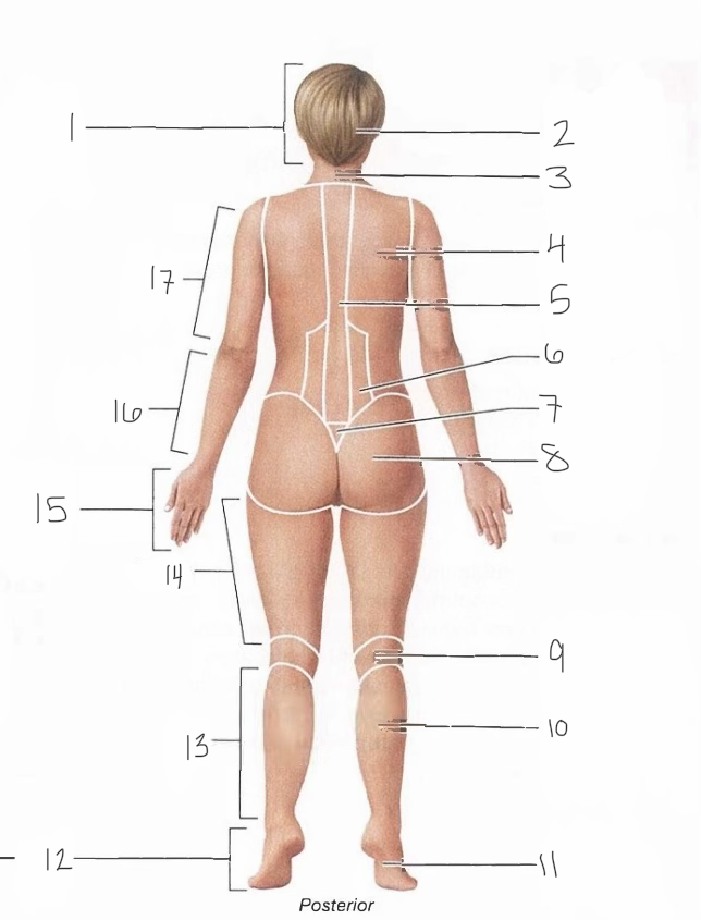 <p>14</p>