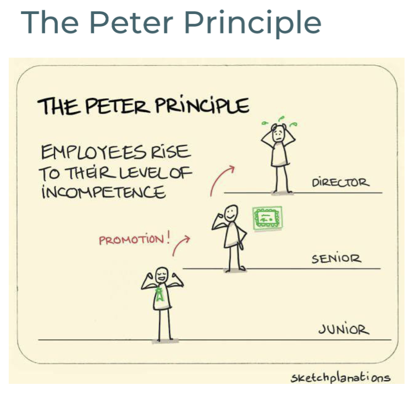 <ul><li><p>Forklar The Peter Principle</p></li></ul><p></p>