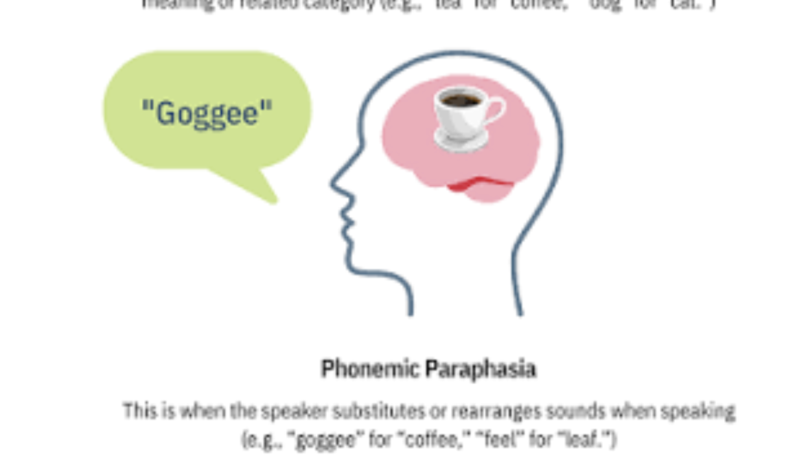 <p>what are phonemic paraphasias (aka literal paraphasias)? give an example</p>