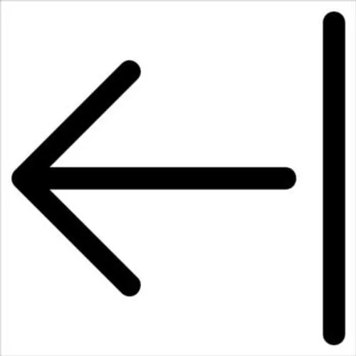 term image
