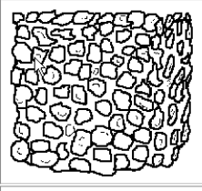 <p>This soil structure…</p><ul><li><p>Small rounded pieces</p></li><li><p>Common at surface</p></li><li><p>Good for plant growth</p></li><li><p>High permeability</p></li></ul><p></p>