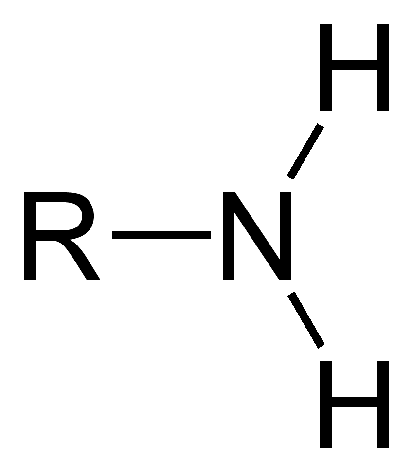 <p>Amino Group </p>