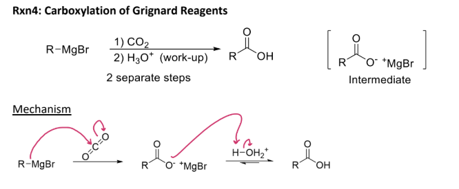 <p><strong><u>Reaction #5) -  ______________</u></strong></p><ul><li><p><strong>Formation of a </strong><span style="color: green;"><strong>carboxylic acid</strong></span><strong> using <mark data-color="green" style="background-color: green; color: inherit;">CO2 and a Grignard Reagent </mark></strong></p></li><li><p><mark data-color="yellow" style="background-color: yellow; color: inherit;">“R” group of Grignard becomes “left” side of COOH</mark></p></li></ul><p></p>