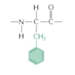 <p>Phenylalanine</p>
