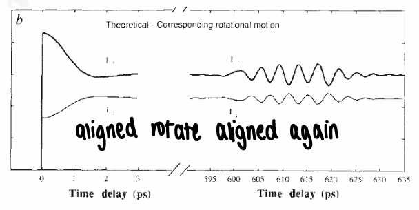 <p>At longer times, the signal disappears and reappears due to the probe observing a rotational recurrence of the excited state molecules. This means they start to rotate during the time delay.</p>