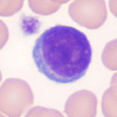 <p>2</p>