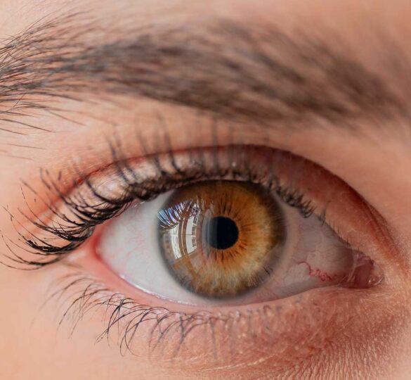 <p>eye</p>