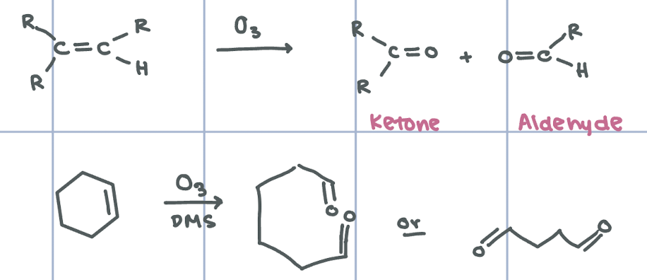 <p>Ozonolysis - separates double bond and puts O on them — creates ketone and aldehyde group</p>