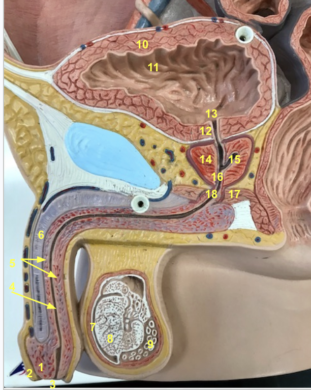 <p>8 and function</p>