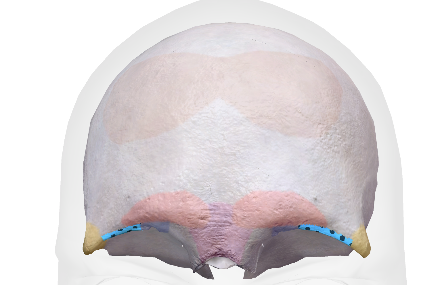 <p></p>